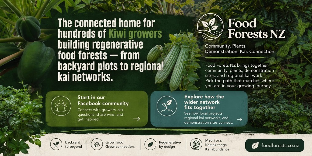 Food Forests NZ — connected home for Kiwi growers building regenerative food forests across Aotearoa